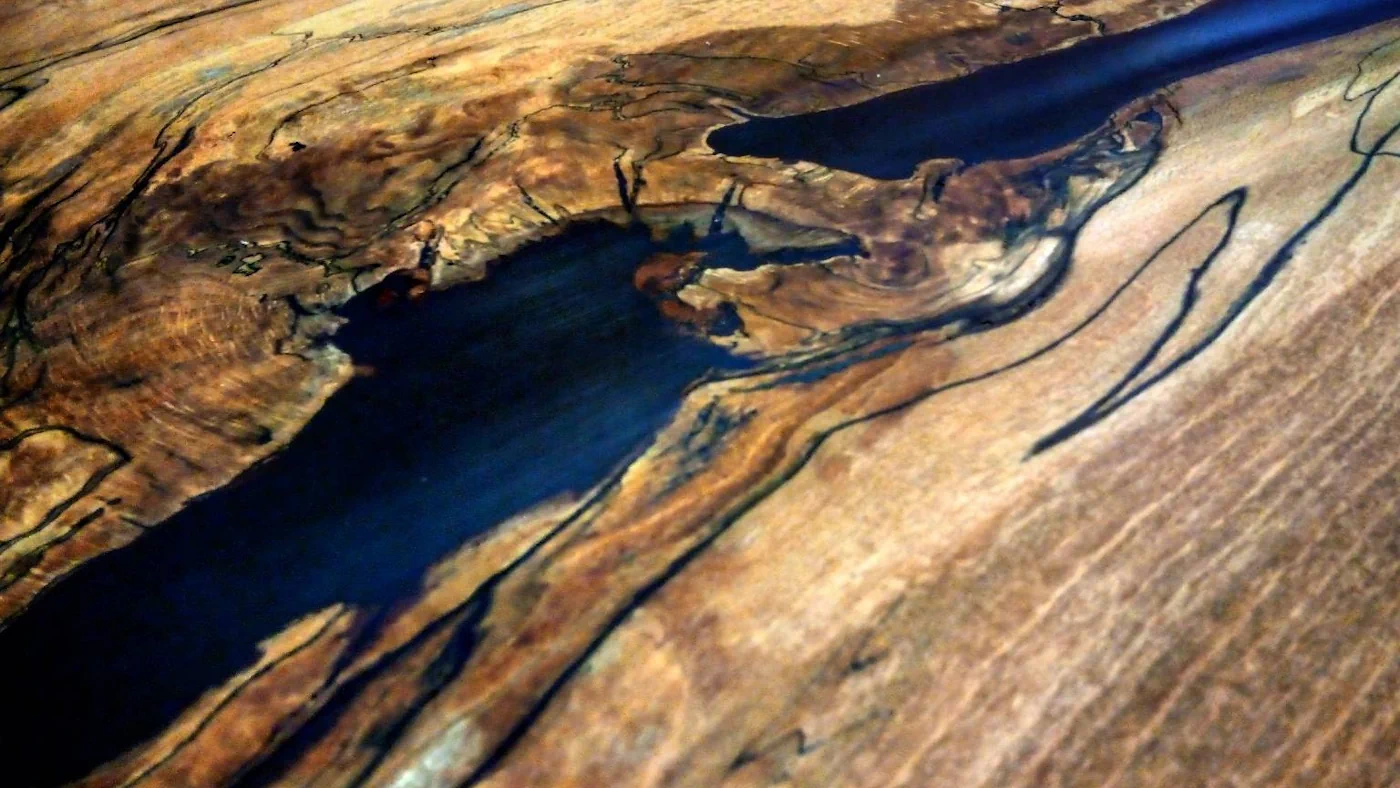Close view of the beech desktop during finishing, showing the dark spalting grain that runs through its surface.